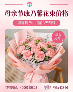 临沂莒南县花店母亲节康乃馨花束