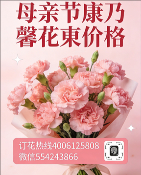 临沂莒南县花店母亲节康乃馨花束